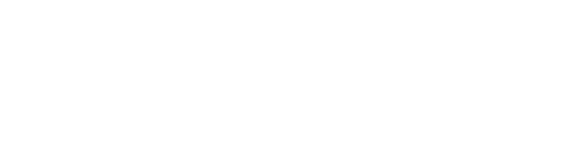 logo-white